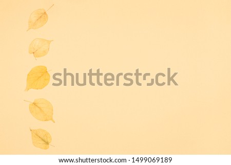 Autumn background with yellow leaves. Yellow pastel background. Place for text. Minimal concept.