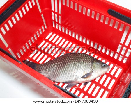 Packing of live fish in the shopping basket at the grocery store