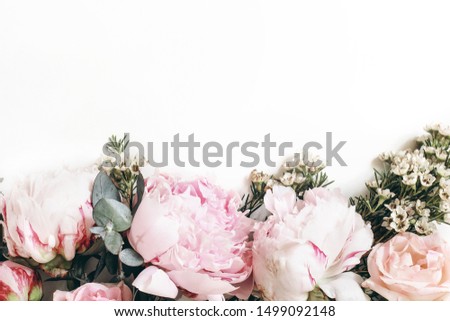 Decorative web banner made of beautiful pink peonies, rosies and eucalyptus isolated on white background. Feminine floral frame composition.  Styled stock photo.Empty space. Flat lay, top view.