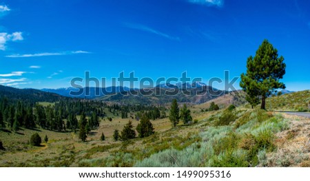 A sunny summer afternoon in the Sierra Nevada Mountains along CA 89 near Monitor Pass.