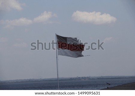 Flaming Torn Amazonas Flag on Flagpole