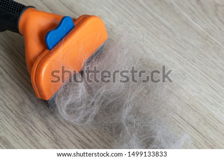 Close up comb of pet brush with cat fur clump or tuft wool after grooming. De-shedding tool.