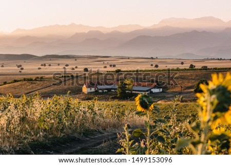 A farm in sunset near sunflower fields, Ismayilli region, Ivanovka village, Azerbaijan. Royalty-Free Stock Photo #1499153096
