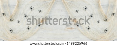 holidays concept of Halloween background with spider web