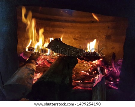 
Fire picture in the stove. Burning wood in a fire place