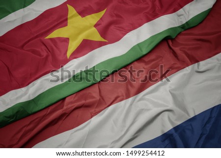 waving colorful flag of netherlands and national flag of suriname. macro