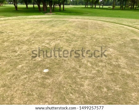 A beautiful golf ground with green background