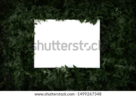 mock up white blank placard on tree garden background