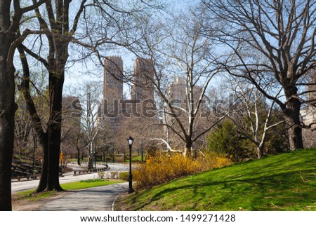 NY city through spring trees in central park