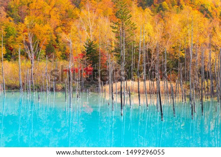 Blue pond in Colorful at Hokkaido Japan