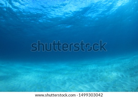 Underwater blue ocean background photo 