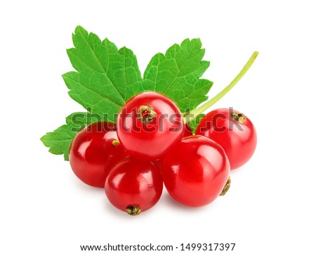 Red currant berries with leaf isolated on white background Royalty-Free Stock Photo #1499317397