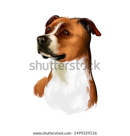 English Foxhound dog digital art illustration isolated on white background. Great Britain, England origin hunting dog. Cute pet hand drawn portrait. Graphic clip art design for web and print