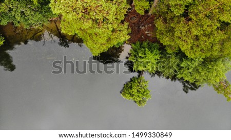 Small forest peninsula on the lake. Aerial photography.