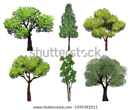 Trees collection. Green plants with leaves ecology garden botanical vector realistic pictures