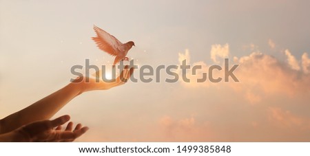 Woman praying and free bird enjoying nature on sunset background, hope concept  Royalty-Free Stock Photo #1499385848