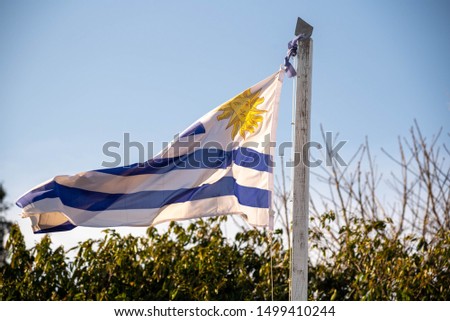Flag streamer of Uruguay being shaken by the wind on a sunny afternoon. Wooden mast holding up the flag of a South American country fluttering to the wind flavor.