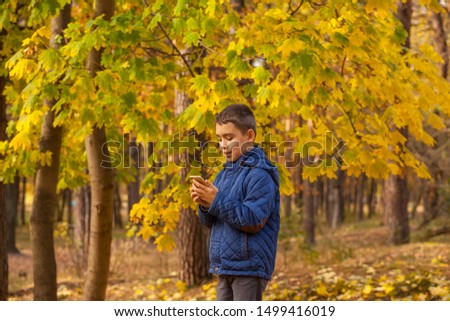 boy photographing on the smartphone autumn leaves in the park