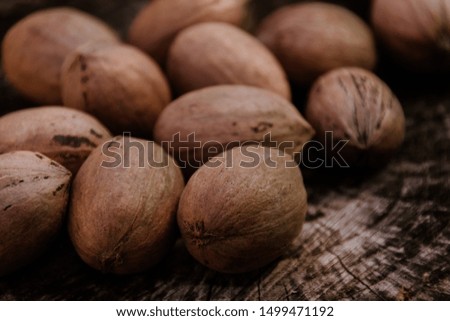 pecan nuts on log outdoors