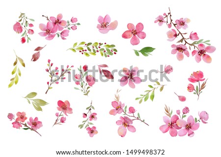 Cherry blossom watercolour clip art. Twigs, brunches, blossoms, leaves. Isolated