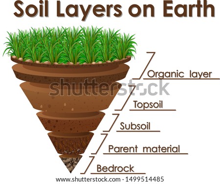 Diagram showing soil layers on earth illustration