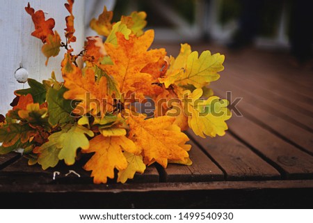 Bouquet of autumn (fall) leaves on the wooden floor in the park