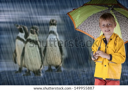 happy Young Boy with colorful raincoat and umbrella outside in the rain in zoo with penguins in background