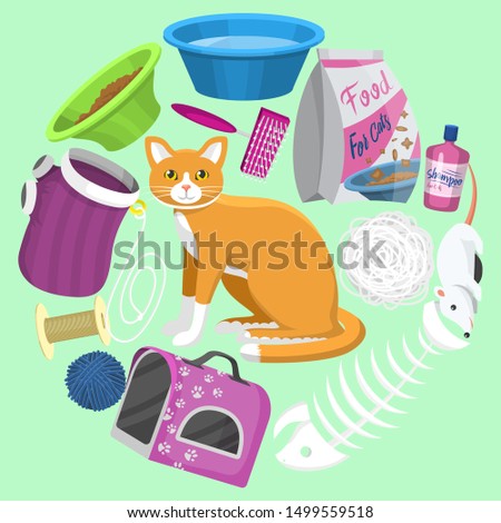 Cats accessories vector illustration. Animal supplies, food and toys for cats, toilet, carrier and equipment for grooming and pet care all located around a cute ginger cat.