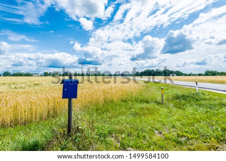 Summer landscape. View of an empty country asphalt road through agricultural fields, forest in the background. USA