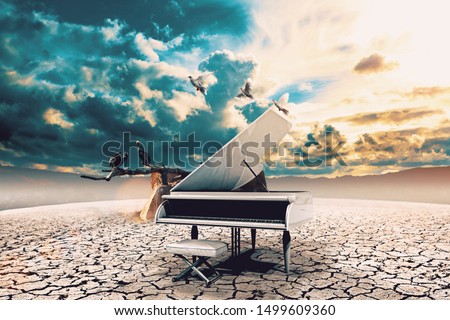 Piano in nature..Surreal image related to piano music,song and melody.Sunset and dry soil scenic landscape.Birds and cracked floor