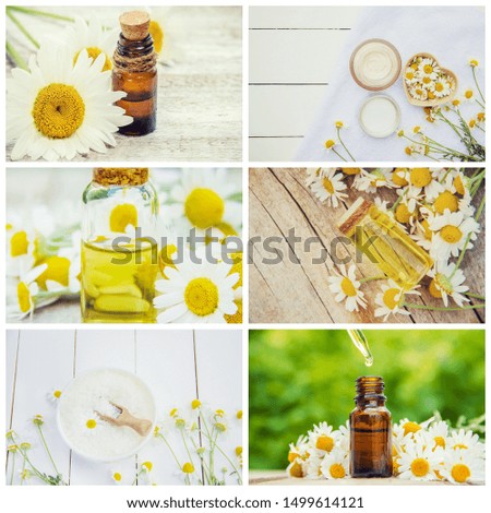 Collage of different pictures of chamomile flower extracts. Homeopathy. Selective focus. Nature.