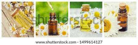 Collage of different pictures of chamomile flower extracts. Homeopathy. Selective focus. Nature.