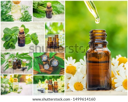 Collage of different pictures of extracts of herbs. Homeopathy. Selective focus. Nature.