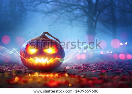 Halloween Pumpkins Glowing In Fantasy Night Forest . Jack O'Lantern Holiday Horror Background