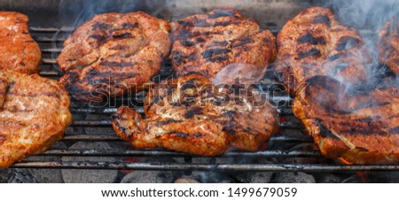 Fry fresh meat in the marinade on the grill on the coals. Picnic. BBQ. Selective focus, long picture, banner