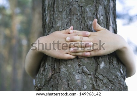 Closeup of hands embracing tree trunk Royalty-Free Stock Photo #149968142