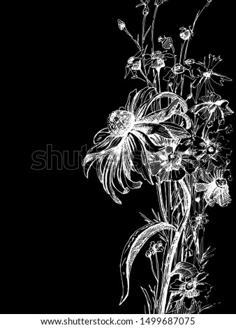Vector graphic drawing: Flowers drawn with ink pen.