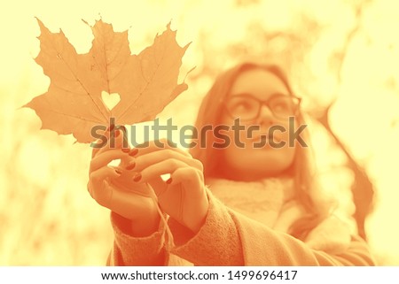 autumn leaf gift maple yellow / heart from leaf, concept autumn look, love, relationship, rainy weather