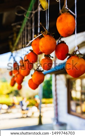 Landscape of japanese traditional fruits ( named Hoshigaki, or Kaki ) in autumn season