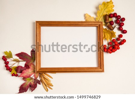 Autumn composition. Wooden photo frame, yellow oak leaves, red maple leaves, Rowan fruits, hawthorn, acorns on white background.
