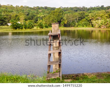 Wooden diving board by a lake in the countryside of Itamaraca Island - Pernambuco, Brazil Royalty-Free Stock Photo #1499755220
