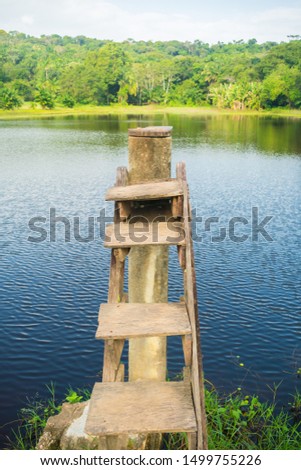 Wooden diving board by a lake in the countryside of Itamaraca Island - Pernambuco, Brazil Royalty-Free Stock Photo #1499755226
