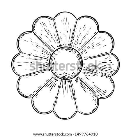 Circular round floral mandala like vintage decorative Baroque ornament elements. Drawing marble stone for fashion scarf, print, fabric design. Vector. 