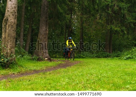 equipped male cycling tourist rides along a trail in a spruce forest
