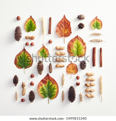 Thanksgiving on white background. Autumn leaves and decoration background. Minimal autumn concept. Thanksgiving day mockup. Flat Lay.