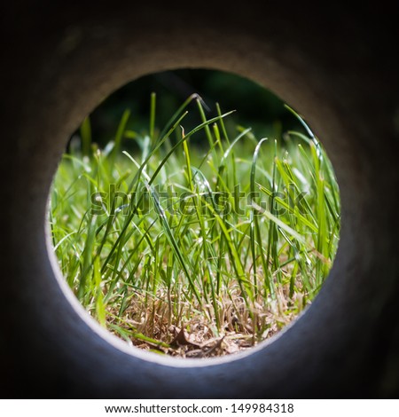 Close up of grass through a concrete tube