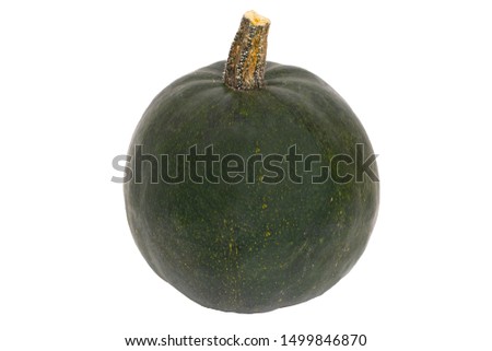 Pumpkin isolated. Close-up of a green Rondini pumpkin isolated on a white background. Healthy nutrition. Macro.