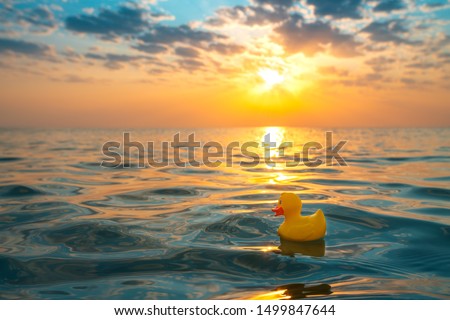 Yellow rubber duck toy floating in sea water. Beautiful sunrise on the beach.