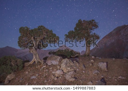 Night landscape in mountains. Starry sky over mountain and trees. Amazing mountain scene in Fann, Alay, Pamir, Tajikistan