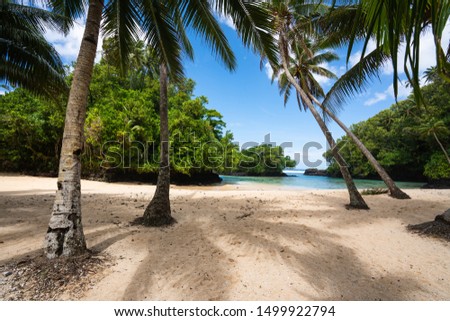 Palm trees on a white sand beach in Samoa